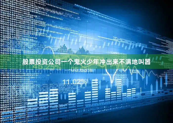 股票投资公司一个鬼火少年冲出来不满地叫嚣