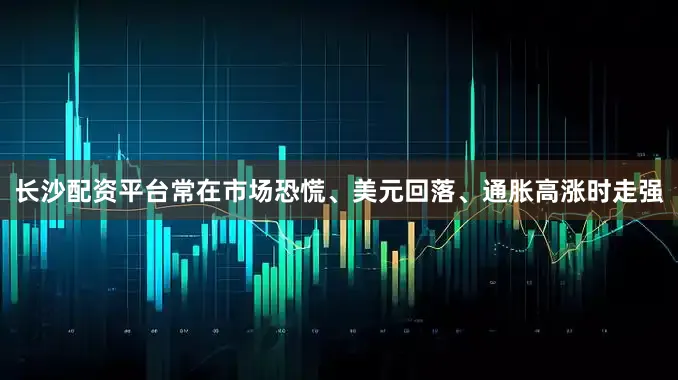 长沙配资平台常在市场恐慌、美元回落、通胀高涨时走强
